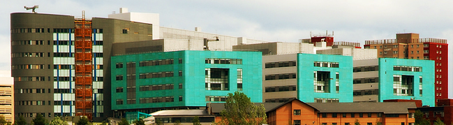 Header Image